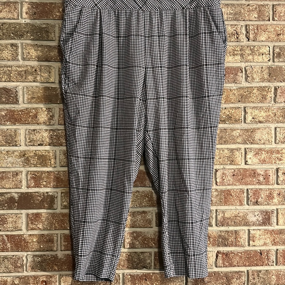 Torrid Pull on Pant